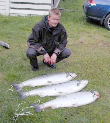 Fikk 3 storlaks på 3 kast i Orkla!