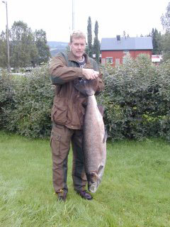 Kjempelaks tatt i Orkla