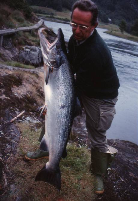 Skandaløs NRK-journalistikk om villaks