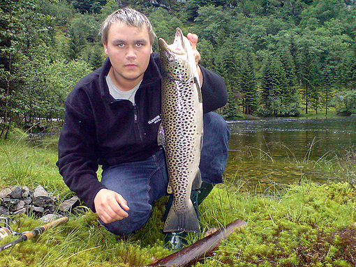 Sjøørreten er fredet i mange fjorder i mars og april 