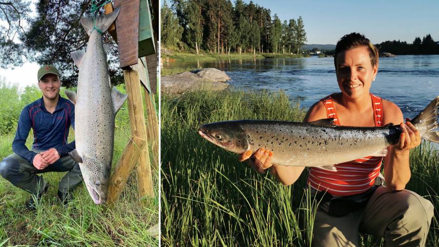 Demonstrantene bæres bort av politiet. (NTB)