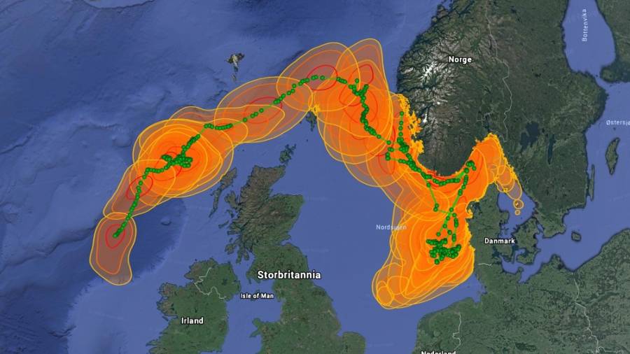 Slik ser vandringsruta til makrellstørja ut etter berre 33 dagar. Den grøne streken gjennom dei farga område er den mest sannsynlege vandringsruta. Oransje og raude område viser feilmarginen. 