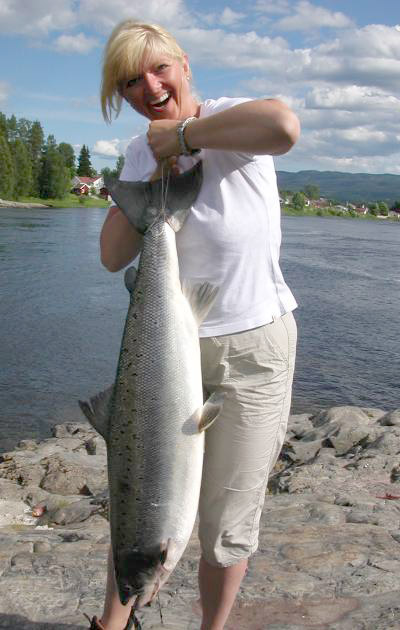 Storlaksen er på fremmarsj i norske elver igjen.( Foto: Brynjulv Aartun jr.)