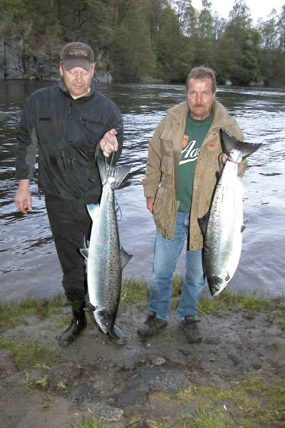 Kjempeflott mai-fiske i lakselvene 2003!