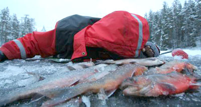Foto: Marius Angvik.